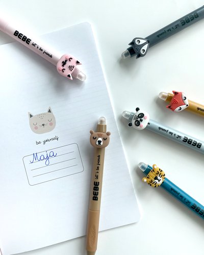 Stylos effaçables garçon